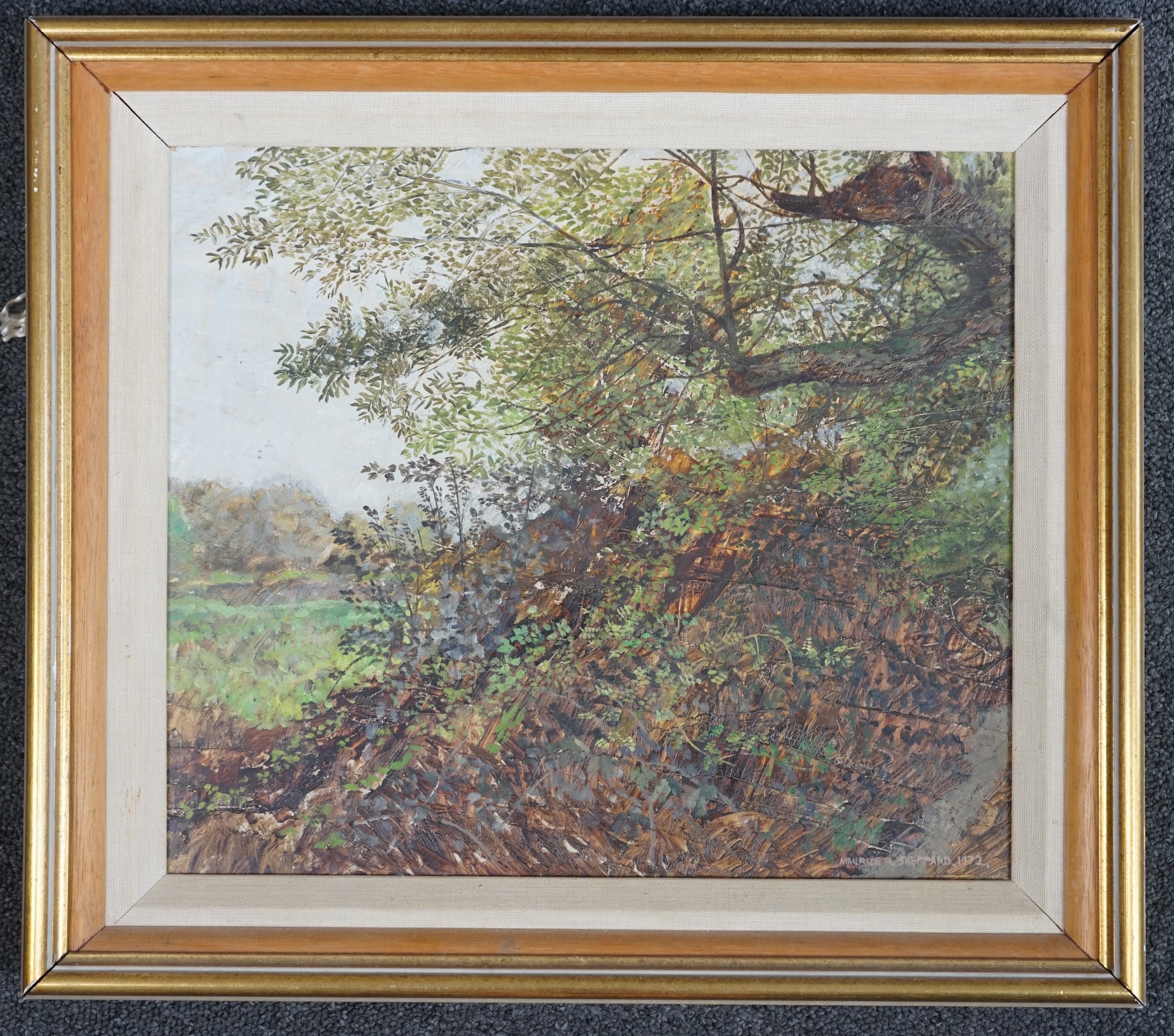 Maurice Sheppard (b.1947), oil on board, 'In Northgate Mill Wood', signed and dated 1972, 39.5 x 34cm. Condition - fair to good